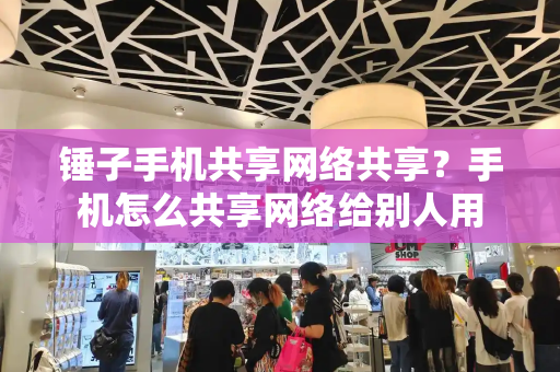 锤子手机共享网络共享？手机怎么共享网络给别人用