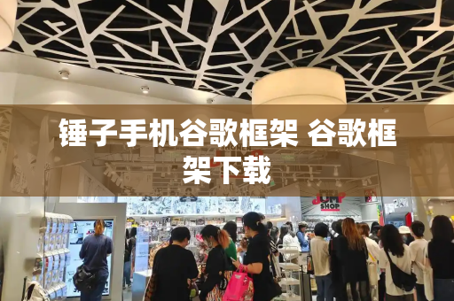 锤子手机谷歌框架 谷歌框架下载