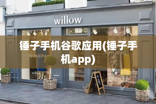 锤子手机谷歌应用(锤子手机app)-第1张图片-星选测评