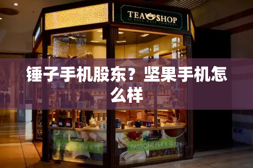 锤子手机股东？坚果手机怎么样
