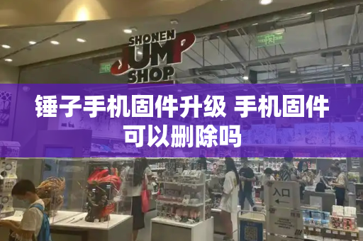 锤子手机固件升级 手机固件可以删除吗-第1张图片-星选测评