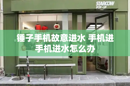 锤子手机故意进水 手机进手机进水怎么办