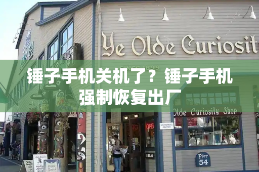 锤子手机关机了？锤子手机强制恢复出厂-第1张图片-星选测评