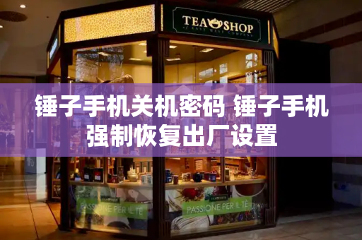 锤子手机关机密码 锤子手机强制恢复出厂设置-第1张图片-星选测评