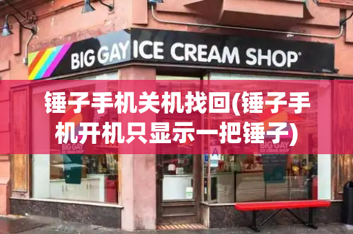 锤子手机关机找回(锤子手机开机只显示一把锤子)-第1张图片-星选测评