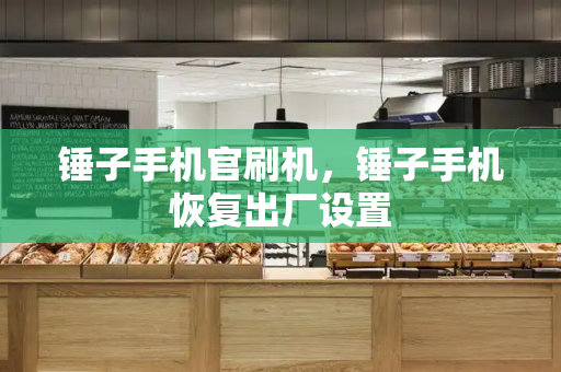 锤子手机官刷机，锤子手机恢复出厂设置-第1张图片-星选测评