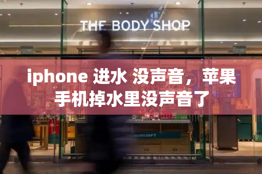 iphone 进水 没声音，苹果手机掉水里没声音了