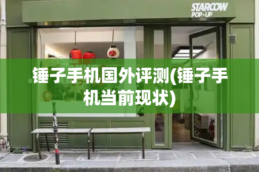 锤子手机国外评测(锤子手机当前现状)-第1张图片-星选测评