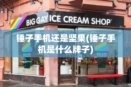 锤子手机还是坚果(锤子手机是什么牌子)-第1张图片-星选测评