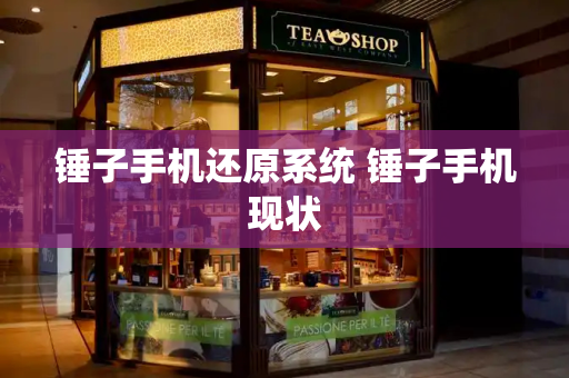 锤子手机还原系统 锤子手机现状-第1张图片-星选测评