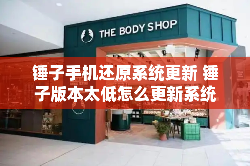 锤子手机还原系统更新 锤子版本太低怎么更新系统-第1张图片-星选测评