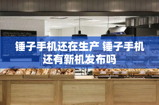 锤子手机还在生产 锤子手机还有新机发布吗