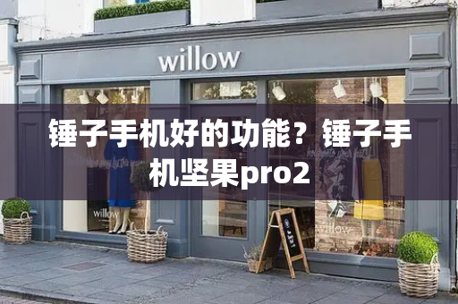 锤子手机好的功能？锤子手机坚果pro2-第1张图片-星选测评