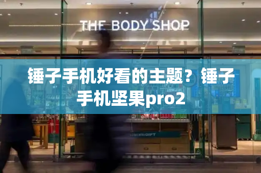 锤子手机好看的主题？锤子手机坚果pro2