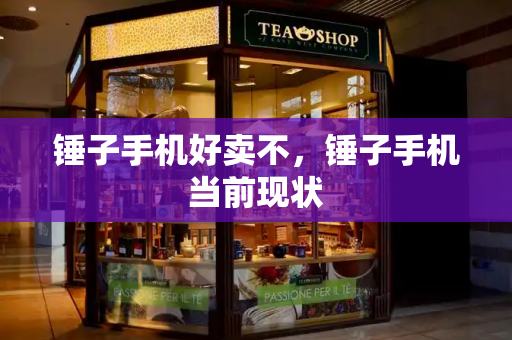 锤子手机好卖不，锤子手机当前现状-第1张图片-星选测评