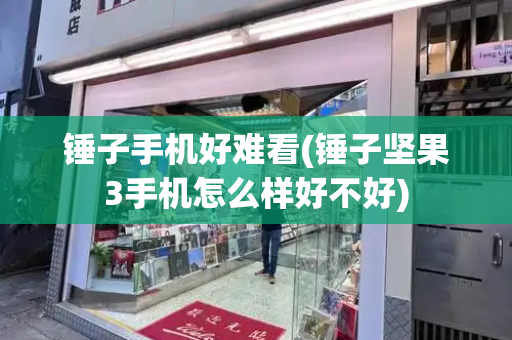 锤子手机好难看(锤子坚果3手机怎么样好不好)