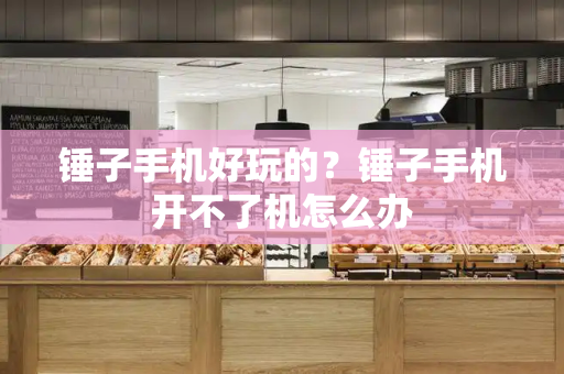 锤子手机好玩的？锤子手机开不了机怎么办-第1张图片-星选测评
