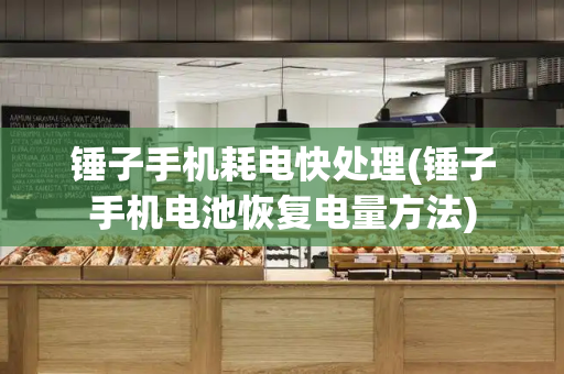 锤子手机耗电快处理(锤子手机电池恢复电量方法)