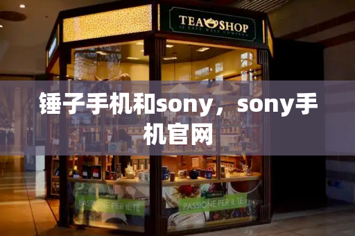 锤子手机和sony，sony手机官网-第1张图片-星选测评