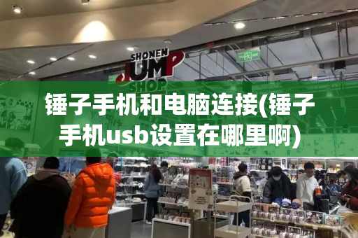 锤子手机和电脑连接(锤子手机usb设置在哪里啊)-第1张图片-星选测评