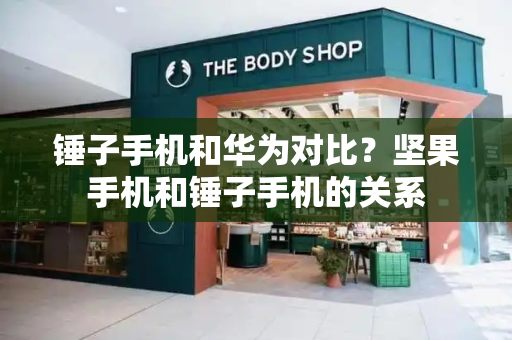 锤子手机和华为对比？坚果手机和锤子手机的关系-第1张图片-星选测评
