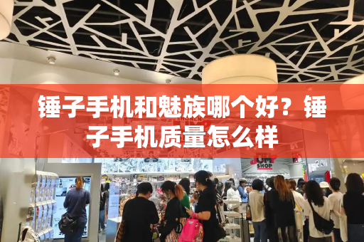锤子手机和魅族哪个好？锤子手机质量怎么样-第1张图片-星选测评
