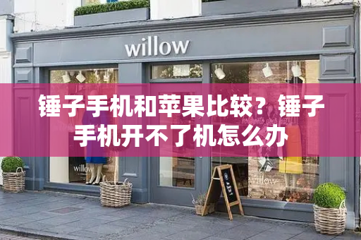 锤子手机和苹果比较？锤子手机开不了机怎么办-第1张图片-星选测评