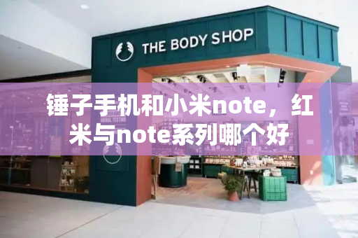 锤子手机和小米note，红米与note系列哪个好