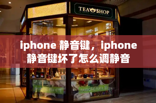 iphone 静音键，iphone静音键坏了怎么调静音-第1张图片-星选测评