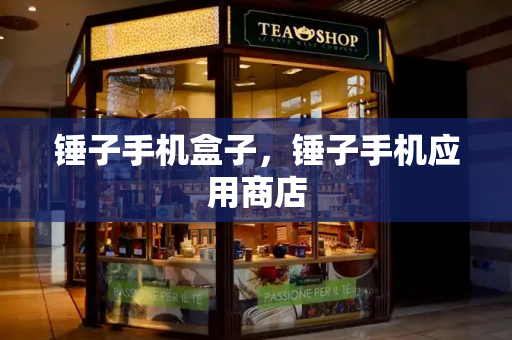 锤子手机盒子，锤子手机应用商店-第1张图片-星选测评