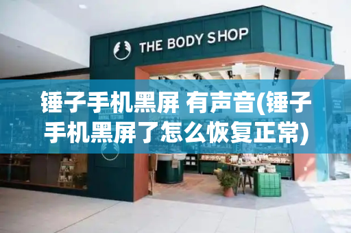 锤子手机黑屏 有声音(锤子手机黑屏了怎么恢复正常)-第1张图片-星选测评