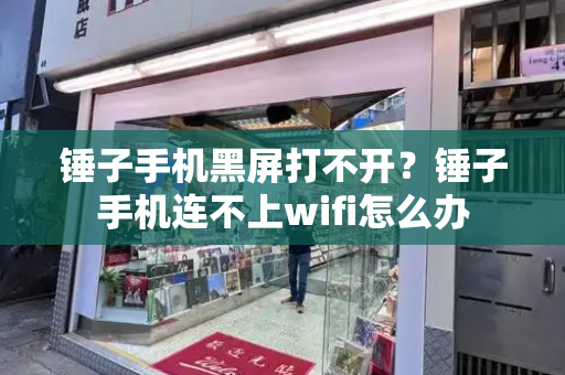 锤子手机黑屏打不开？锤子手机连不上wifi怎么办-第1张图片-星选测评