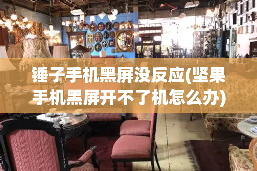 锤子手机黑屏没反应(坚果手机黑屏开不了机怎么办)-第1张图片-星选测评