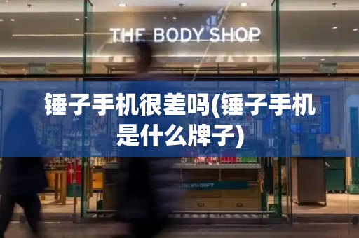 锤子手机很差吗(锤子手机是什么牌子)-第1张图片-星选测评