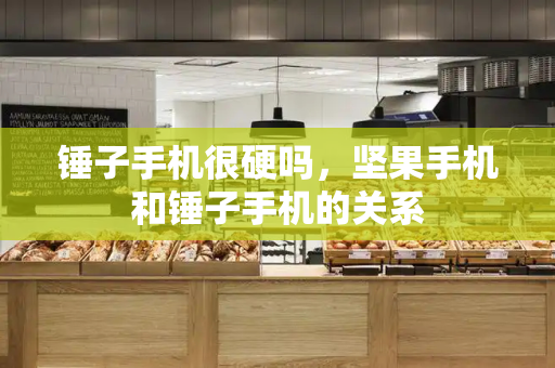 锤子手机很硬吗，坚果手机和锤子手机的关系
