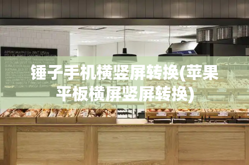 锤子手机横竖屏转换(苹果平板横屏竖屏转换)