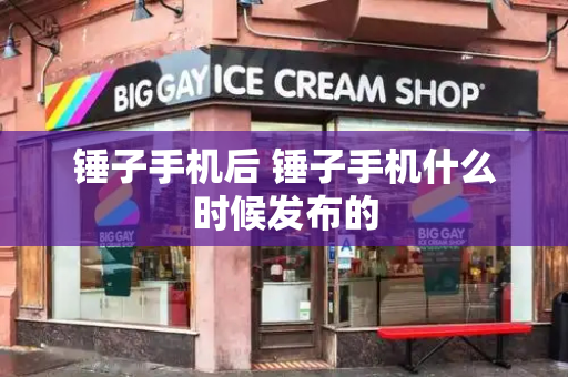 锤子手机后 锤子手机什么时候发布的
