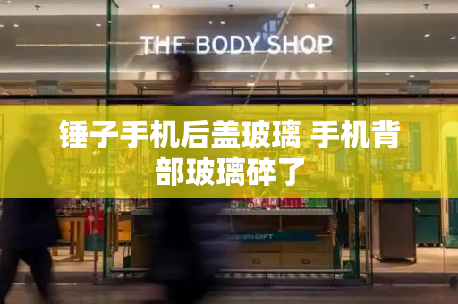 锤子手机后盖玻璃 手机背部玻璃碎了-第1张图片-星选测评