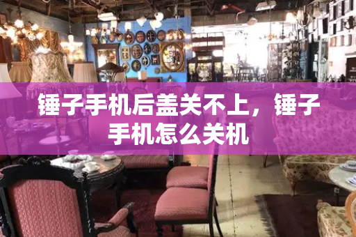 锤子手机后盖关不上，锤子手机怎么关机-第1张图片-星选测评