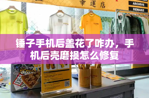 锤子手机后盖花了咋办，手机后壳磨损怎么修复-第1张图片-星选测评