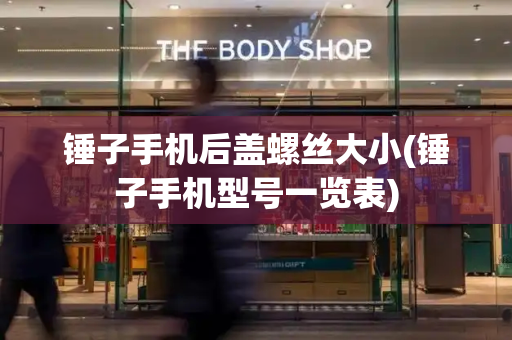 锤子手机后盖螺丝大小(锤子手机型号一览表)-第1张图片-星选测评