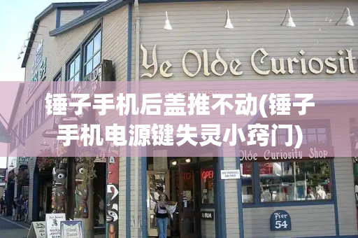 锤子手机后盖推不动(锤子手机电源键失灵小窍门)-第1张图片-星选测评