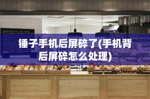锤子手机后屏碎了(手机背后屏碎怎么处理)-第1张图片-星选测评
