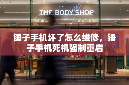 锤子手机坏了怎么维修，锤子手机死机强制重启-第1张图片-星选测评
