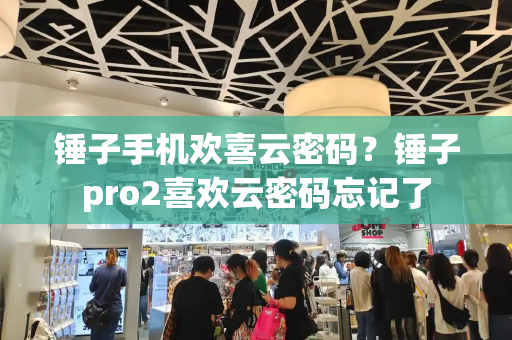 锤子手机欢喜云密码？锤子pro2喜欢云密码忘记了