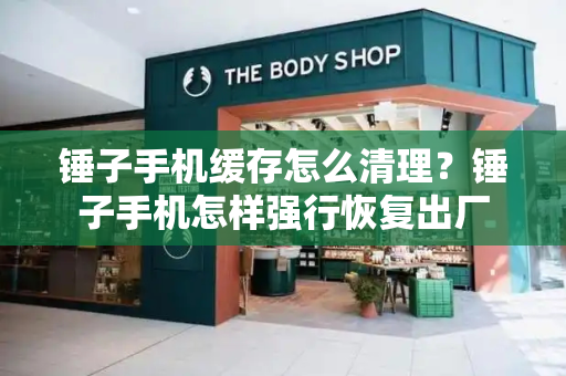 锤子手机缓存怎么清理？锤子手机怎样强行恢复出厂-第1张图片-星选测评