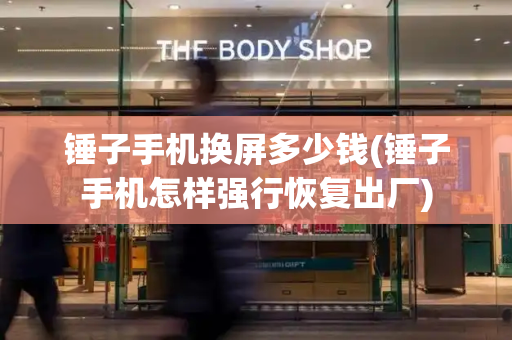 锤子手机换屏多少钱(锤子手机怎样强行恢复出厂)-第1张图片-星选测评