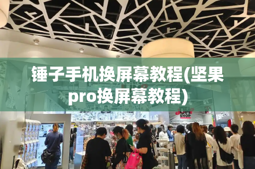 锤子手机换屏幕教程(坚果pro换屏幕教程)