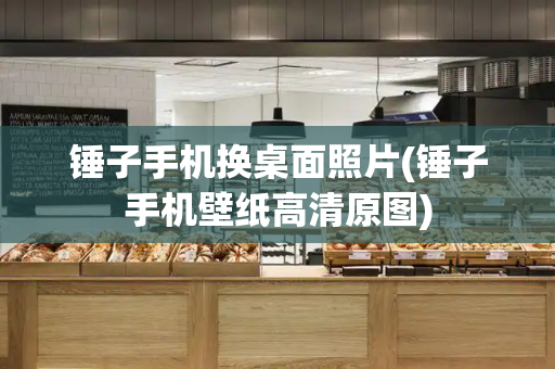 锤子手机换桌面照片(锤子手机壁纸高清原图)-第1张图片-星选测评
