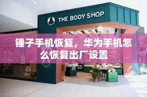 锤子手机恢复，华为手机怎么恢复出厂设置-第1张图片-星选测评